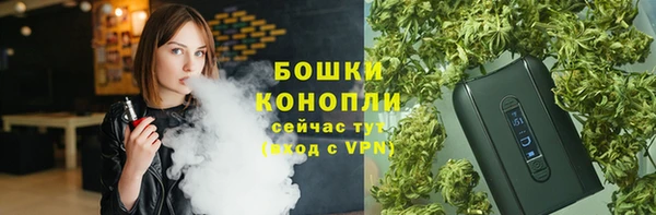 a pvp Белокуриха