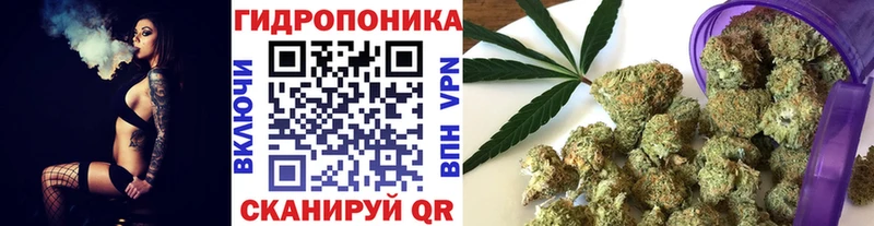 Конопля сатива  как найти   KRAKEN рабочий сайт  Кизел 